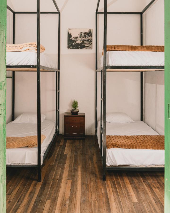 Wild Monkey Hostel Cuenca Exterior photo